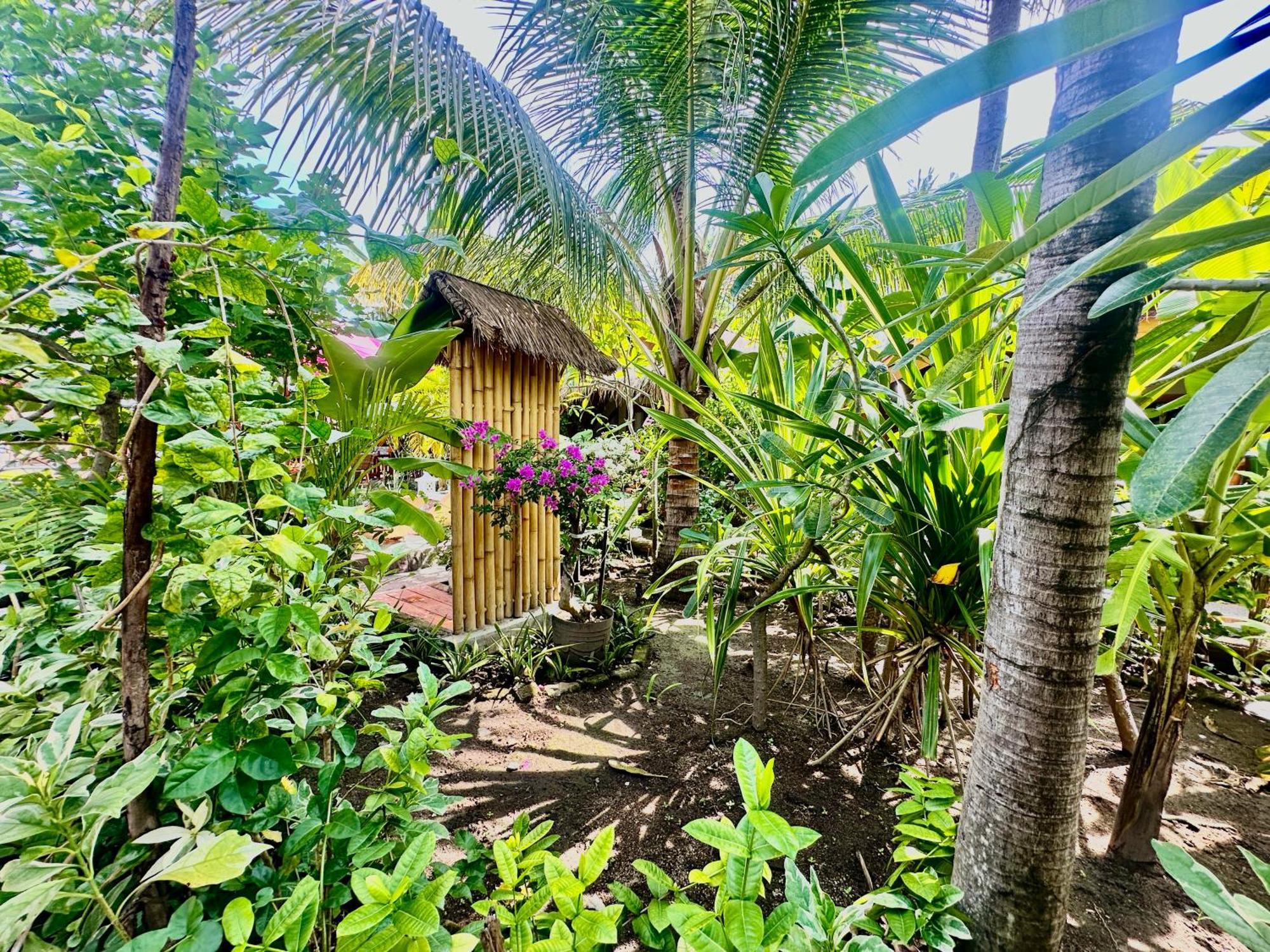 Sunny Rose Bungalows Gili Air - Adults Only Ngoại thất bức ảnh